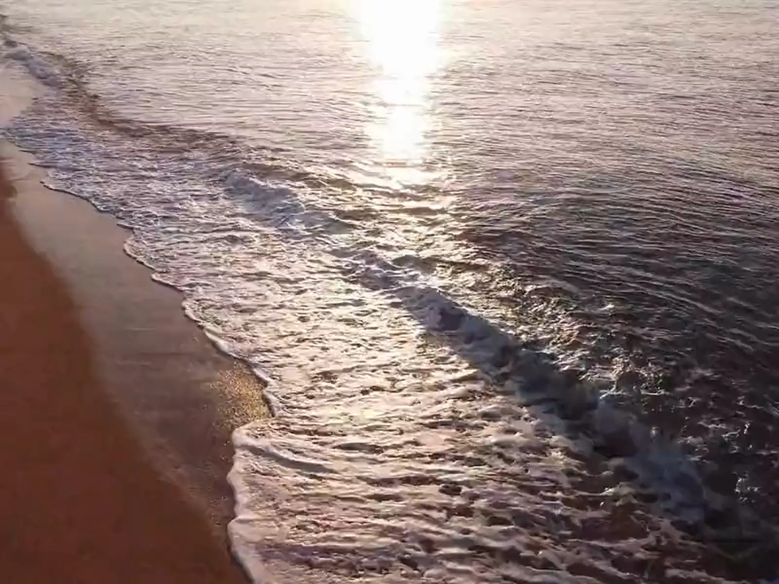 The shoreline with the sun's reflection